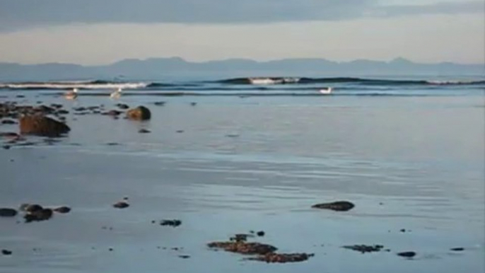 Just relax and watch this!  From CD: "The Art of Flying"  Jordan River in British Columbia Canada