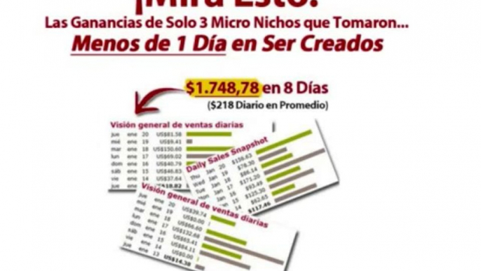 Micro Nichos Rentables 2.0 | de Negocios por Internet Para Trabajar Desde Casa - Descargar PDF