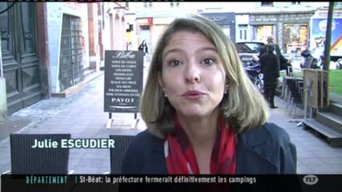 Municipales 2014 : La liste UMP (Toulouse)