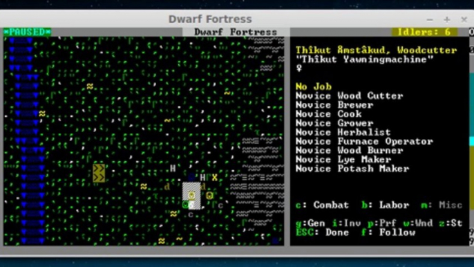 Dwarf Fortress Lets Play 2 - TheWindyRealms