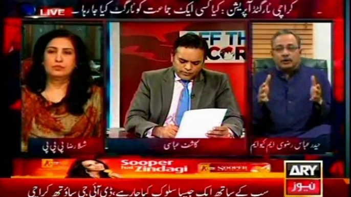 ARY Off The Record Kashif Abbasi with Haider Abbas Rizvi (28 Oct 2013)