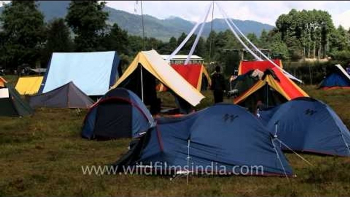 Chilling at Camp Ziro: Camping in Arunachal with the vagabonds!