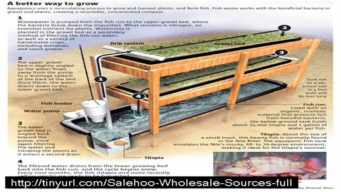 don't buy easy diy aquaponics  until watch  this video