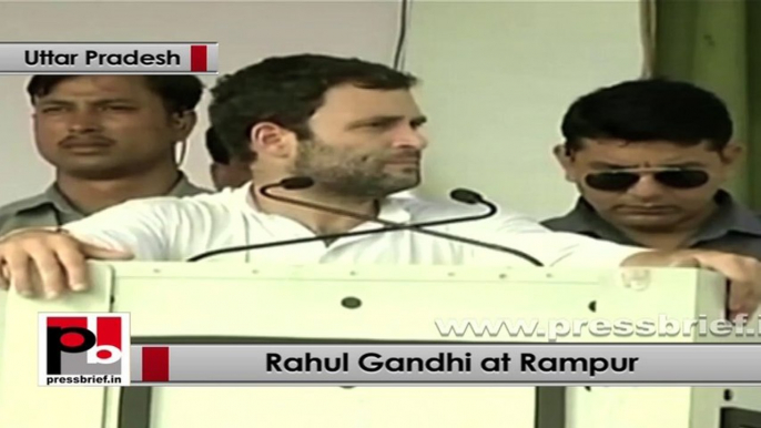 Rahul Gandhi in Rampur: No politician dies in riots; poor person suffers