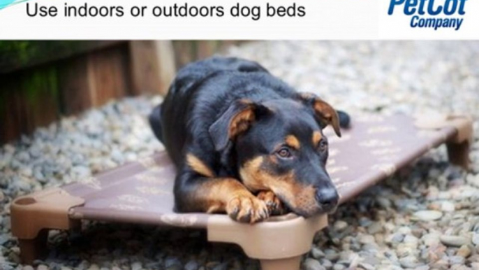 How to Select the Comfortable Dog Beds