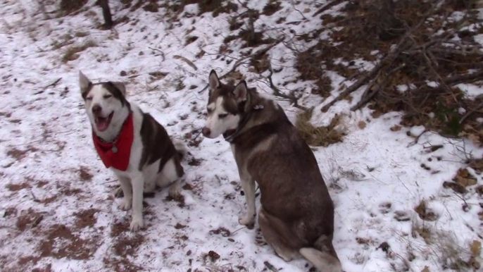 Making money online Vlogging about Kyzak & Rydik playing in The Rocky Mountains!