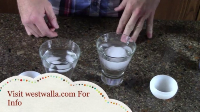 Ice Ball - Ice Spheres vs Ice Cubes - Video Training