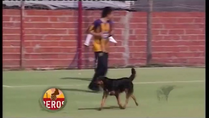 Gol muy perrón