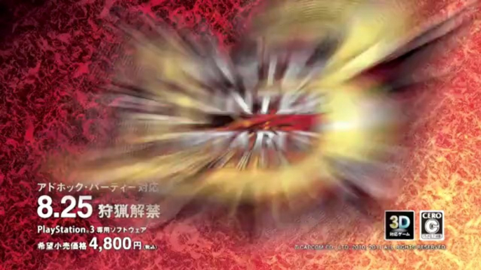 Monster Hunter Portable 3rd HD - Pub Japon #1