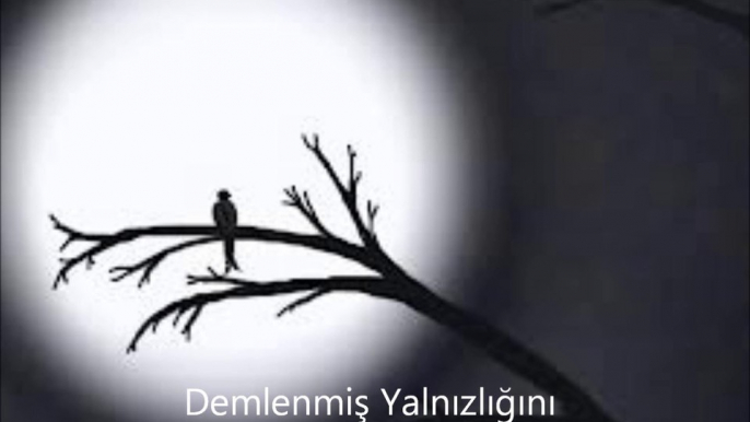 Demlenmiş Yalnızlık