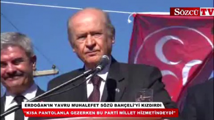 Erdoğan'ın yavru muhalefet sözü Bahçeli'yi kızdırdı