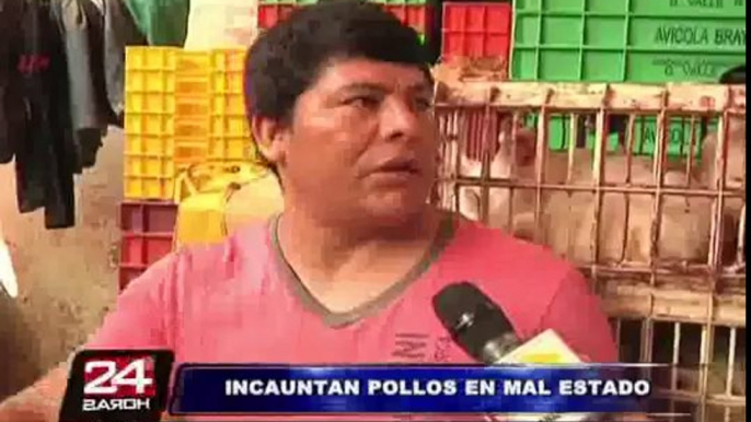 Decomisan gran cantidad de pollos inflados a punto de ser comercializado