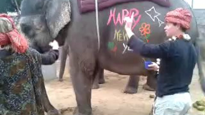 Painting art on elephants at elefamily.co