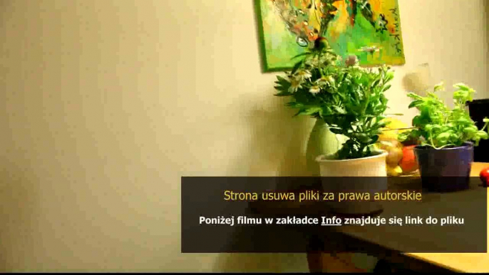 poradnik dla mlodego taty ksiazka