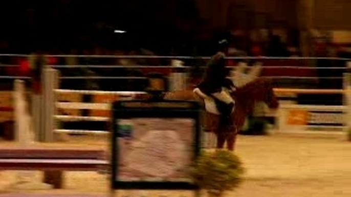 Concours de Saut - Salon du cheval