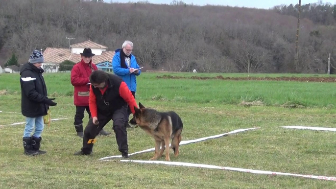 brasero championnat de france cavage 2014