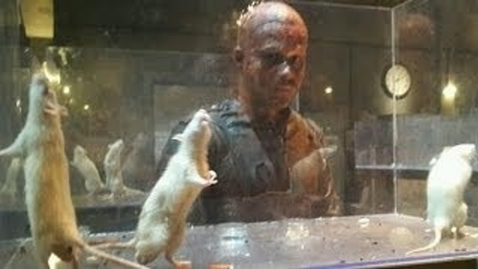 Emraan Hashmi Rises From Ashes In Mr.X