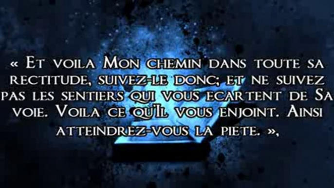 La Méthodologie des pieux prédécesseurs, un besoin fondamental pour la communauté