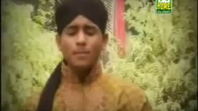 Haleema Mainu Naal Rakh Lay Farhan Ali Qadri naat