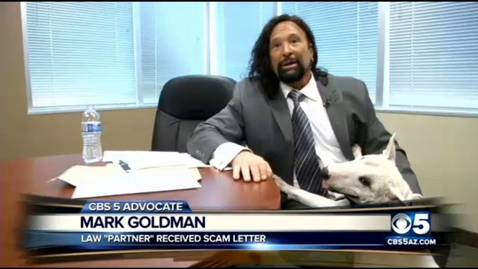 Even a dog can figure out the fake check scam