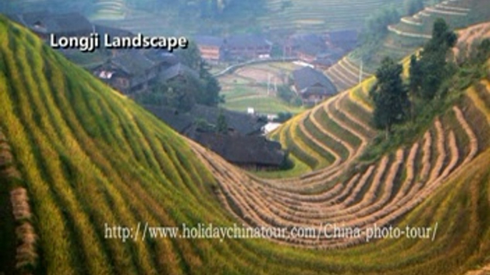 Longji Rice Terraces Fields