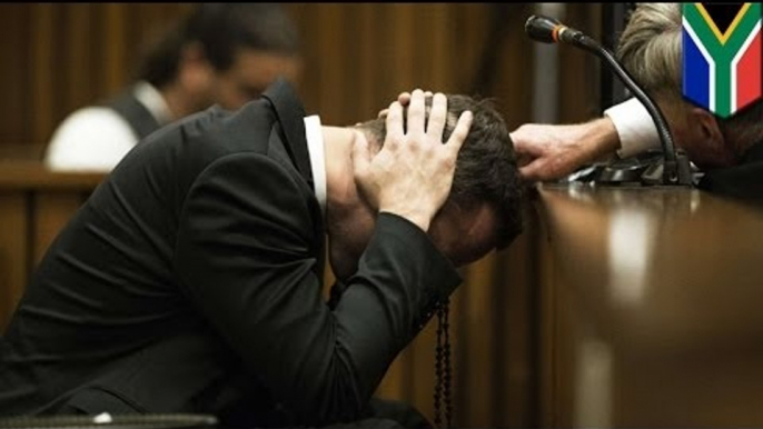 Oscar Pistorius trial: 'He definitely wanted her to live', says witness