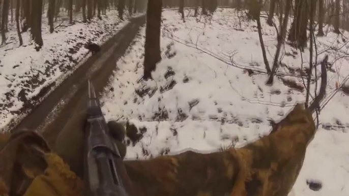 Chasse au sanglier en Battue - Tir de sangliers et d'un brocard