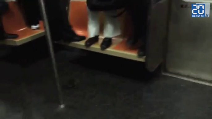 A New York, des voyageurs terrorisent un rat dans le métro