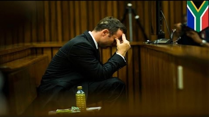 Oscar Pistorius trial day 9: investigator describes blood trail in Pistorius' house