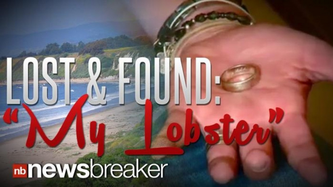 LOST AND FOUND: Unique "My Lobster" Wedding Ring Discovered in Santa Barbara, Returned to Owner Two Years Later