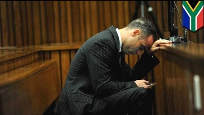 Oscar Pistorius trial: Barry Roux grills police photographer Van Staden