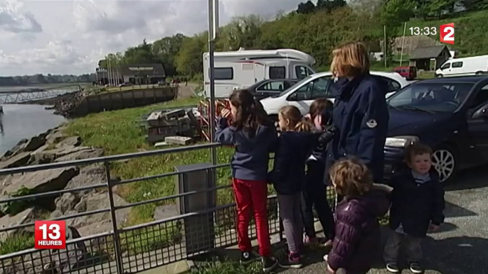 Un dauphin bloqué dans l'estuaire de la Rance