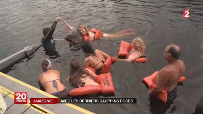 Nager avec les dauphins roses d'eau douce d'Amazonie, une espèce menacée