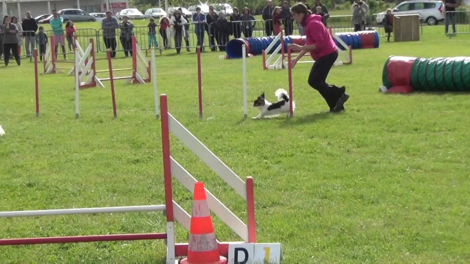 diddle jump la tour du crieu