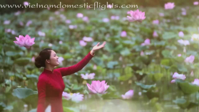 Vietnam Domestic Flights - Vietnam Airline