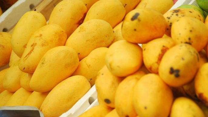 Dunya News - Farmers facing problems due to not availablity of mango processing unit in multan