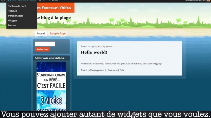 tutoriel-plugin-wordpress-pro