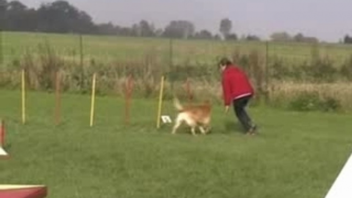 Avricourt Agility 2006