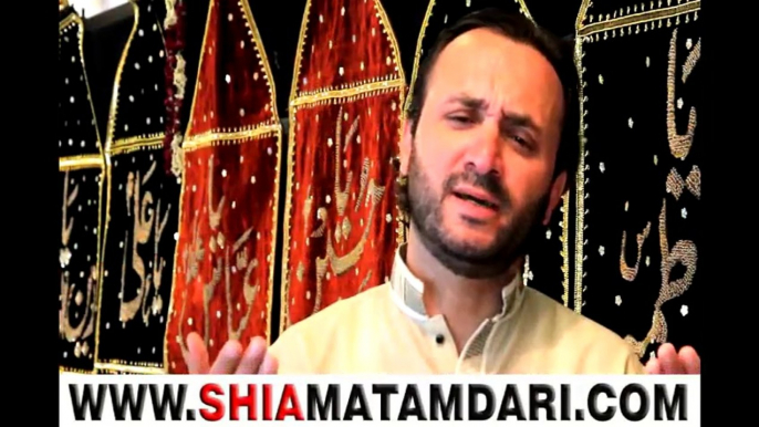 Aye Sher E Nayastan E Ali a.s Syed Mazher Rizvi Manqabat 2014 Shiamatamdari.com