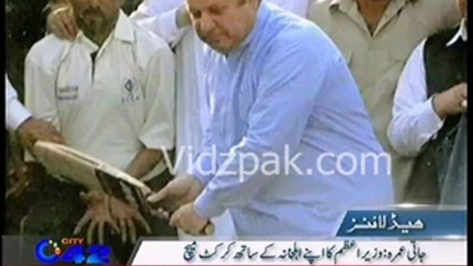 Nawaz Sharif plays cricket match with his family members in Jati Umra