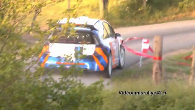 les WRC au forez 2014