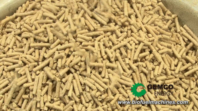 GEMCO Pellet Mill Rolls Out New Type: Make Wood Pellets at 800kg/h