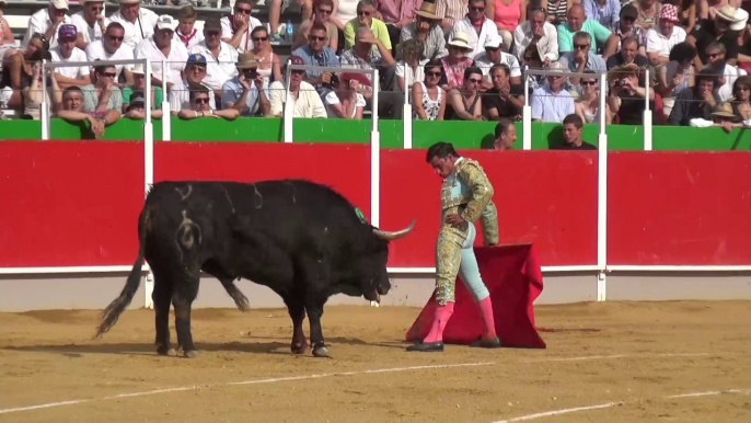 CORRIDA DE LA BREDE 21 JUIN 2014