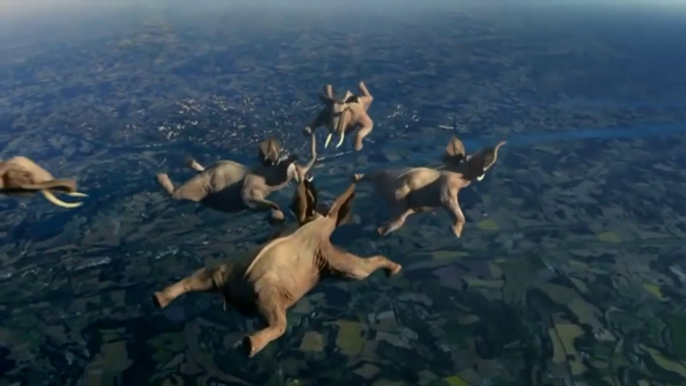 Des éléphants font du free fall, jingle TVen mode saut en parachute d'animaux!