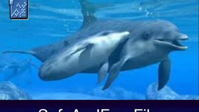 Get Dolphins Underwater Animated Screensaver 6 Activation Code Free Download