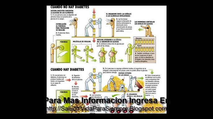 Dieta Para Diabeticos Tipo 2 Y Conosca Mas Sobre Diabetes