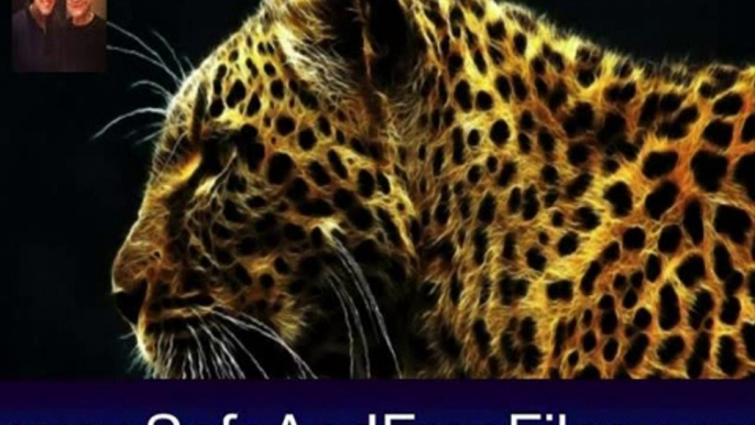 Download Fantastic Felines Screensaver 1.0 Serial Number Generator Free