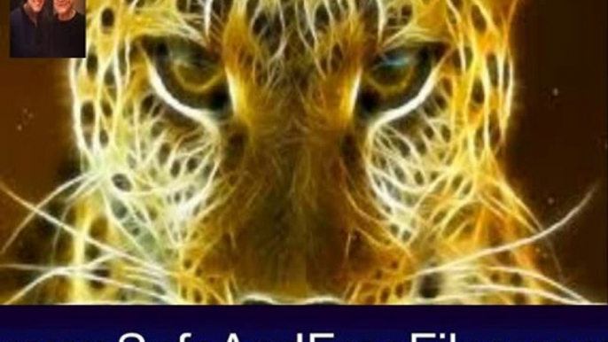 Download Wild Cats Screensaver 1.0 Serial Number Generator Free