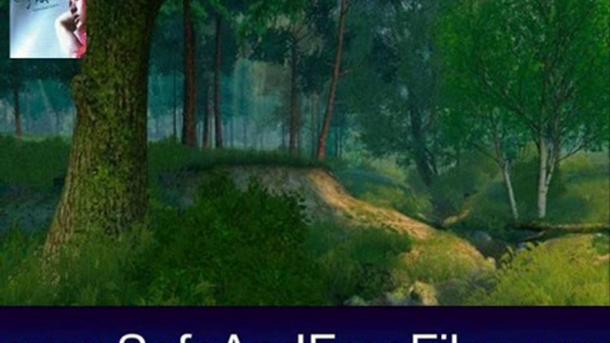 Download Summer Forest 3D Screensaver 1.0 Product Number Generator Free