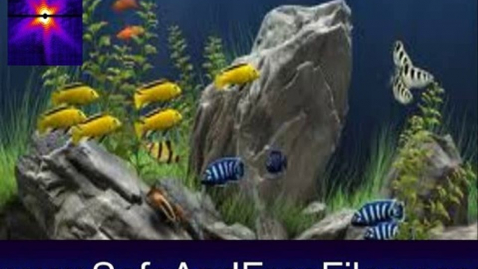 Download Aquarium Screensaver Maker 1 Activation Number Generator Free